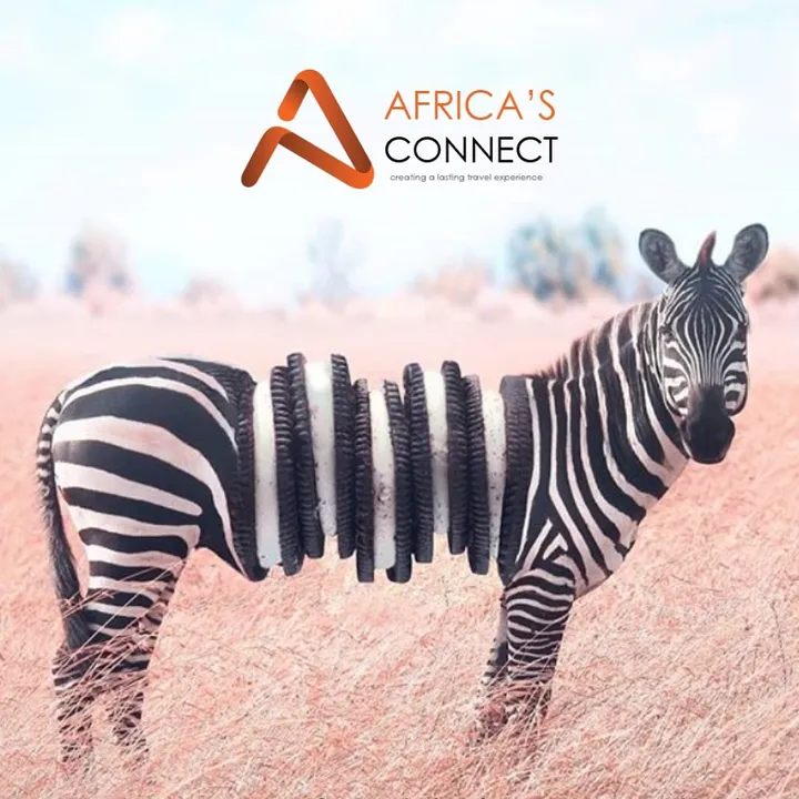 Africa’s Connect