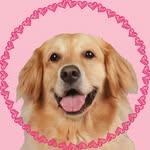 𝑯𝒂𝒏𝒏𝒂 💖