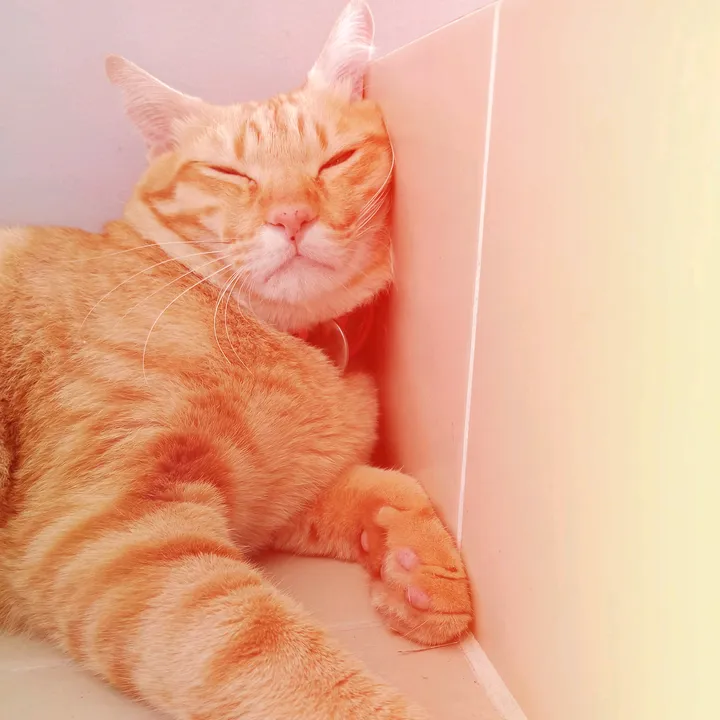 Maung🥰🏳️‍🌈