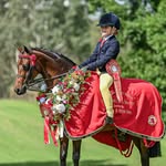 Villa Park Equine NZ