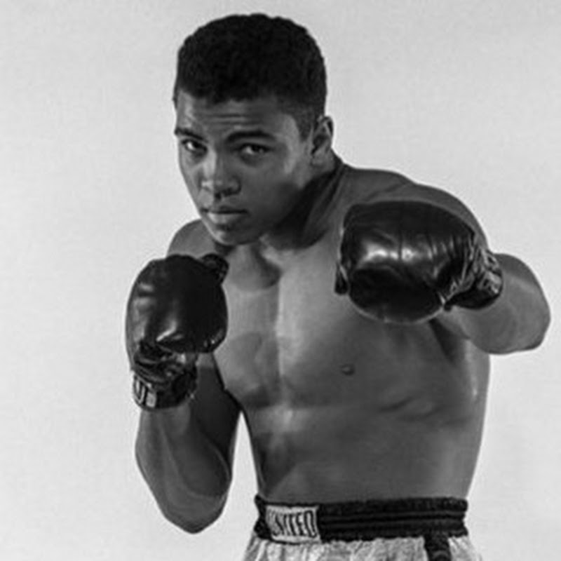 Boxing Highlights