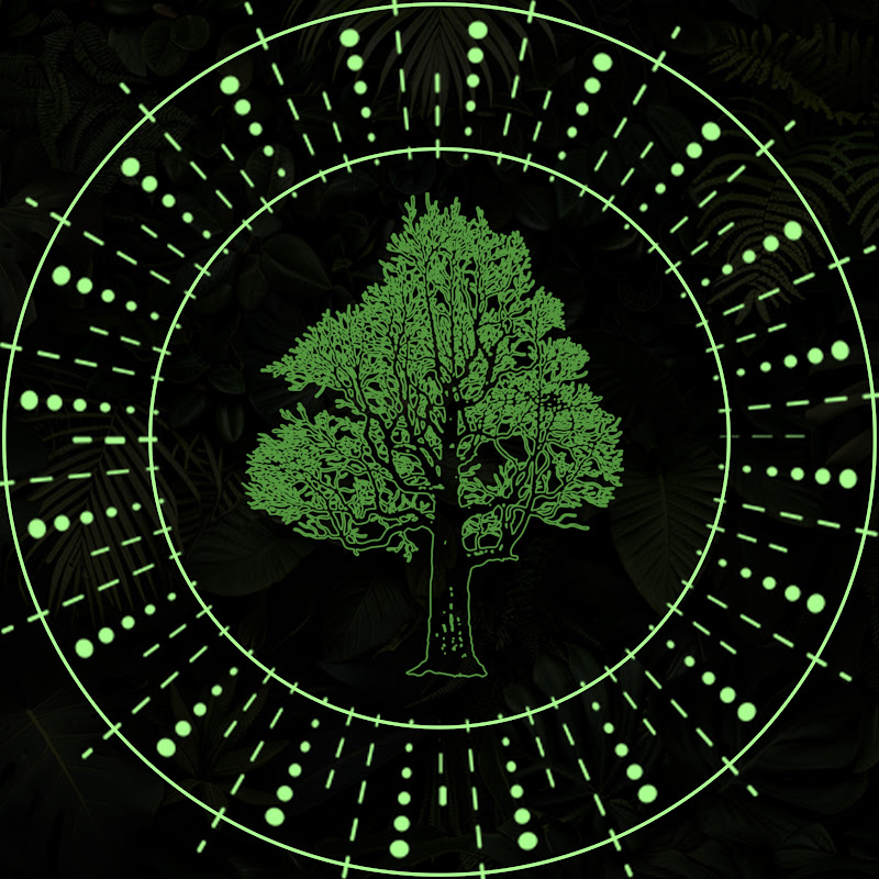 Nature Studios