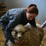 Maryne - vetstudent 🦊