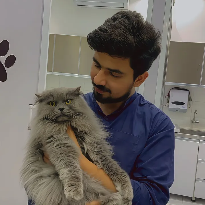 Dr Umair Ali ,DVM