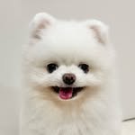 ★彡 ʙᴀᴍ ʙᴀᴍ 彡★