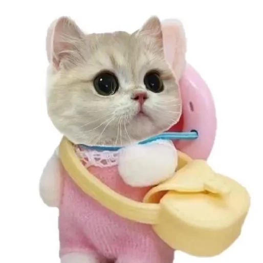 ʙᴀᴇʙʏʏʏɴ