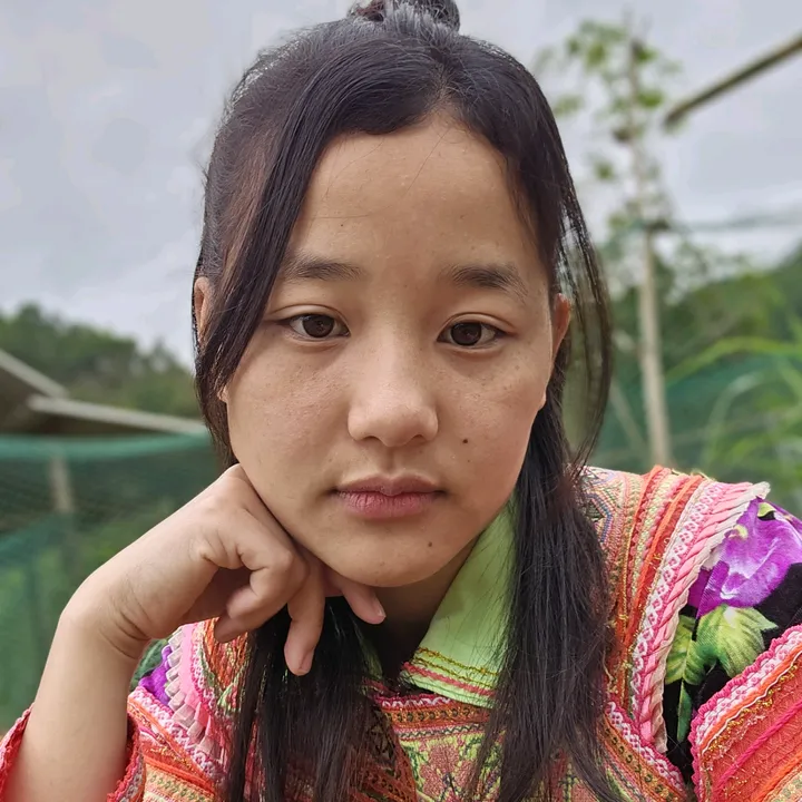 🌸Hièn‘s lovely Nature🍀