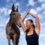 Eliz • Equestrian Lifestyle