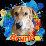 Bruno José