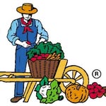 FRATELLI INGEGNOLI