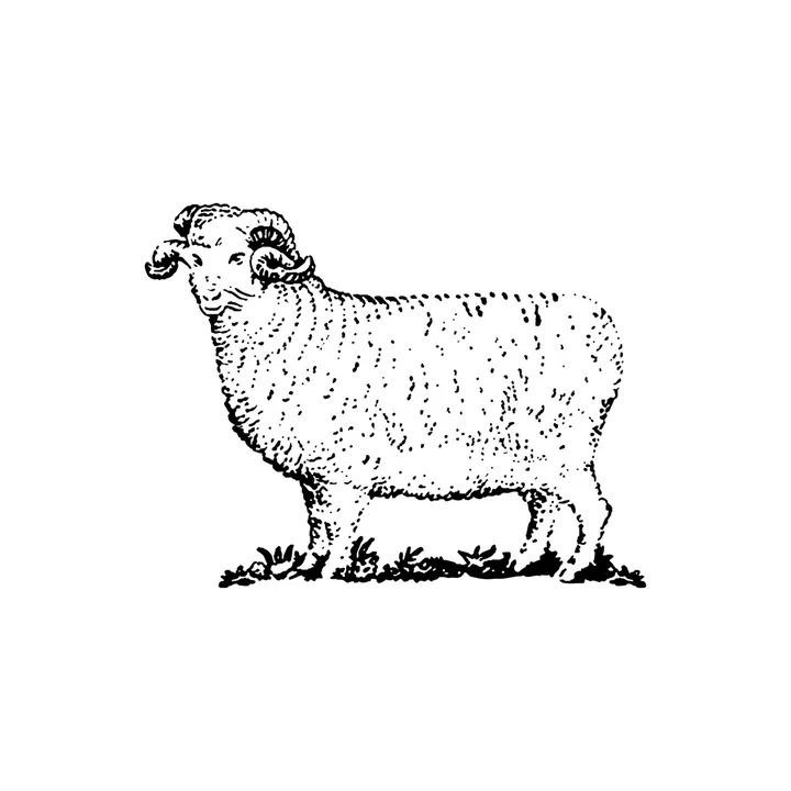 Woolrich
