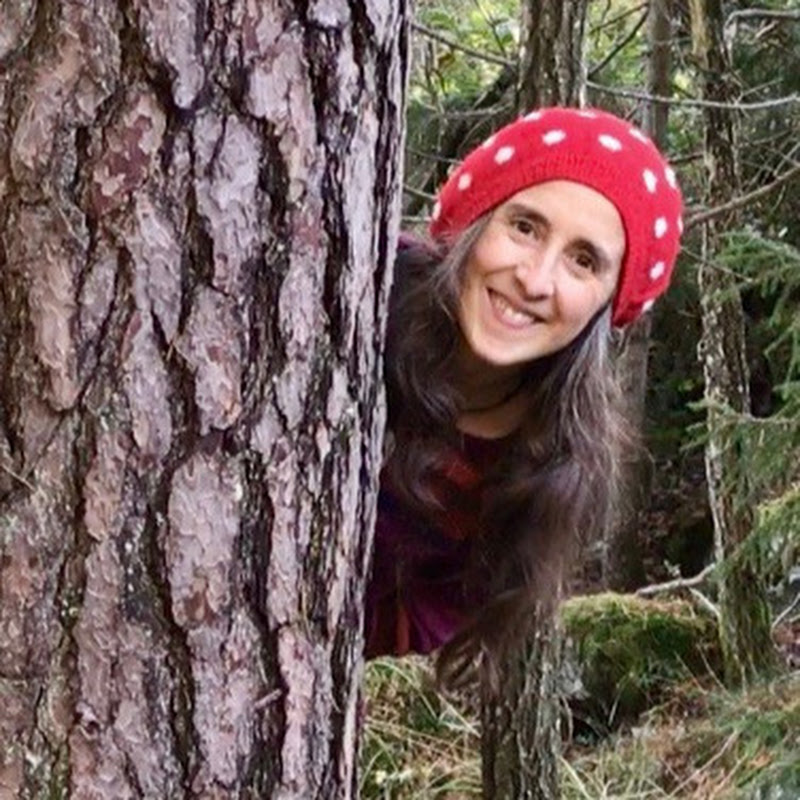 Himmelblau & Moosgrün 