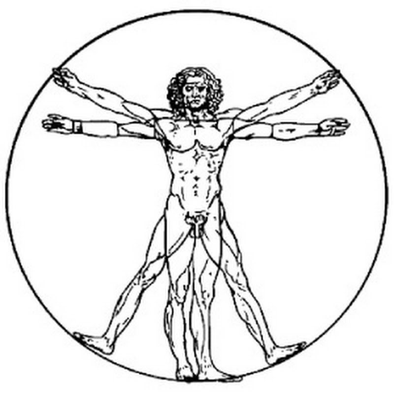 Weight Training Mentor