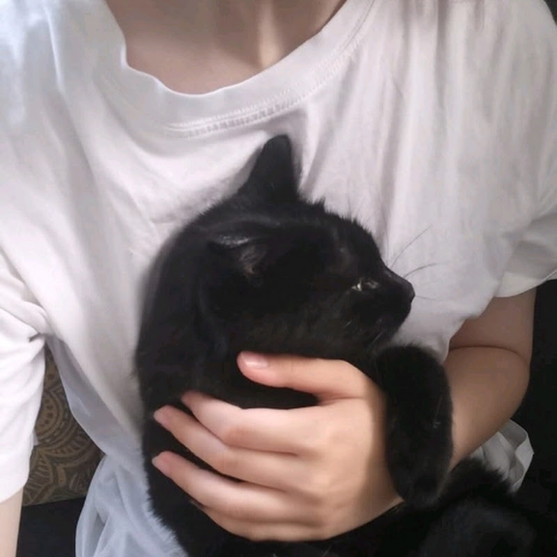 LĀ
