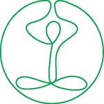 Falls Yoga and Barre