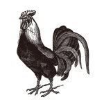 SPEAKEASY main store