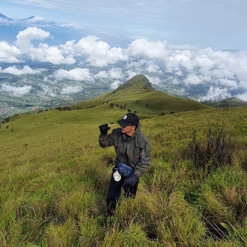 CAMPING VIBES ADVENTURE