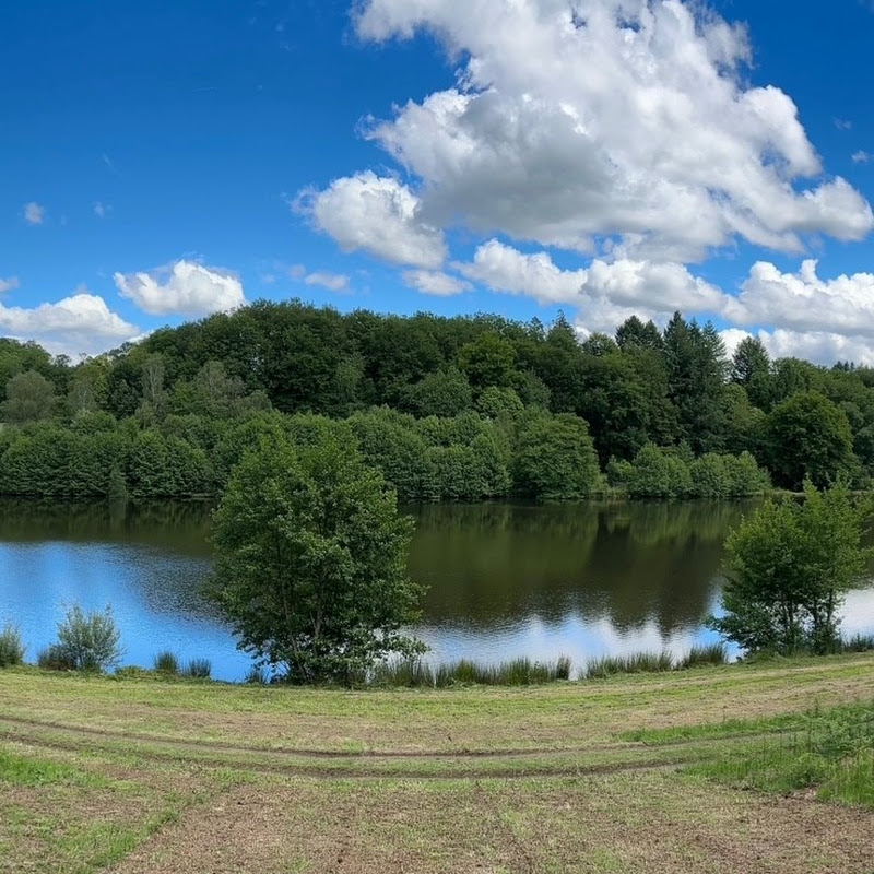 The Fensmere Carpy Chronicles 