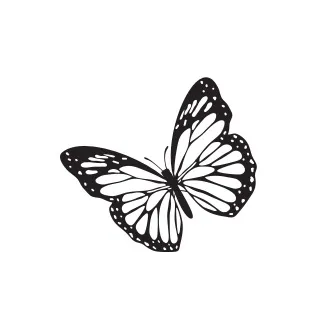 𝐇𝐈𝐓𝐎𝐌𝐈