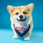 Corgi Tony Stark 🦊
