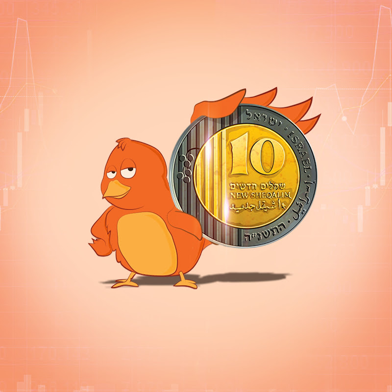 ציפור פיננסית