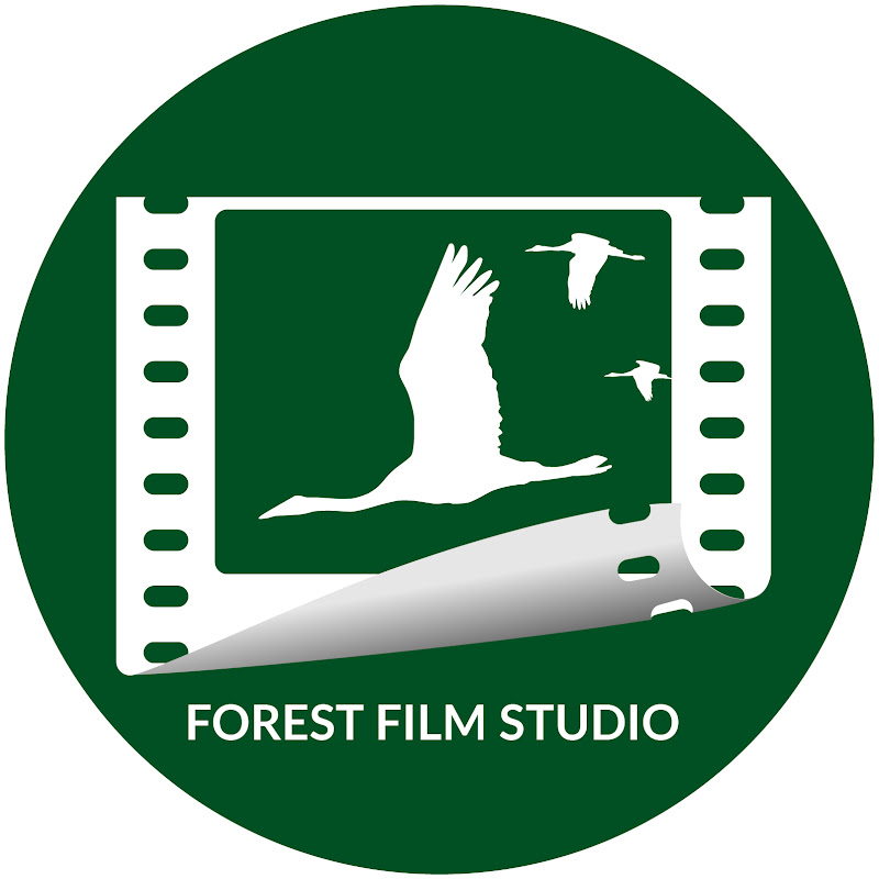 Forest Film Studio