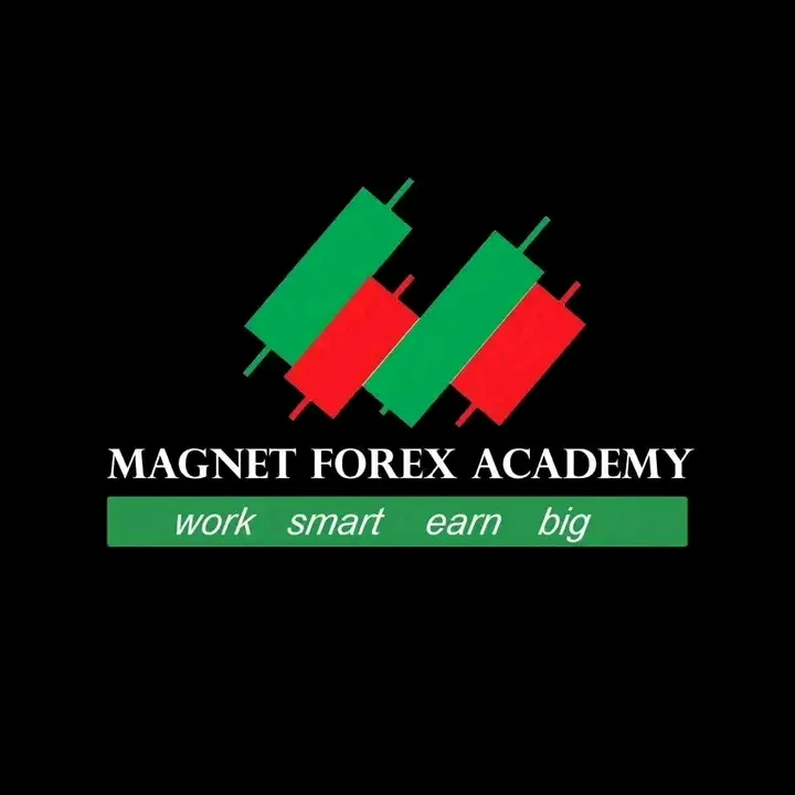 Magnet Forex Academy