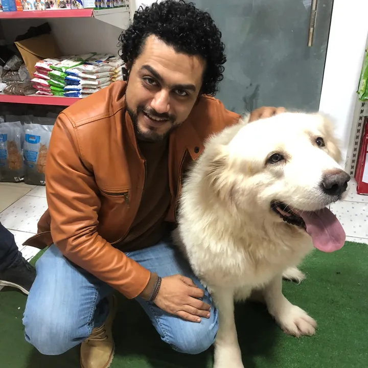Dr.ahmed Samir