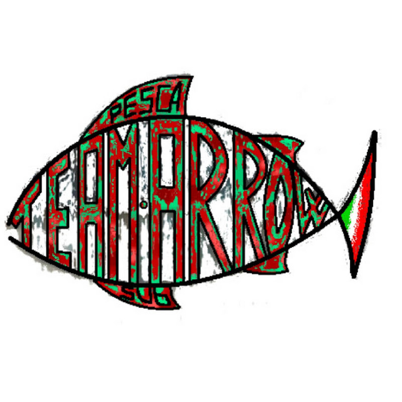 Team Arrow Spearfishing
