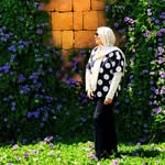 Amna Afsheen Shaikh