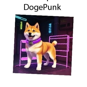 DogePunk