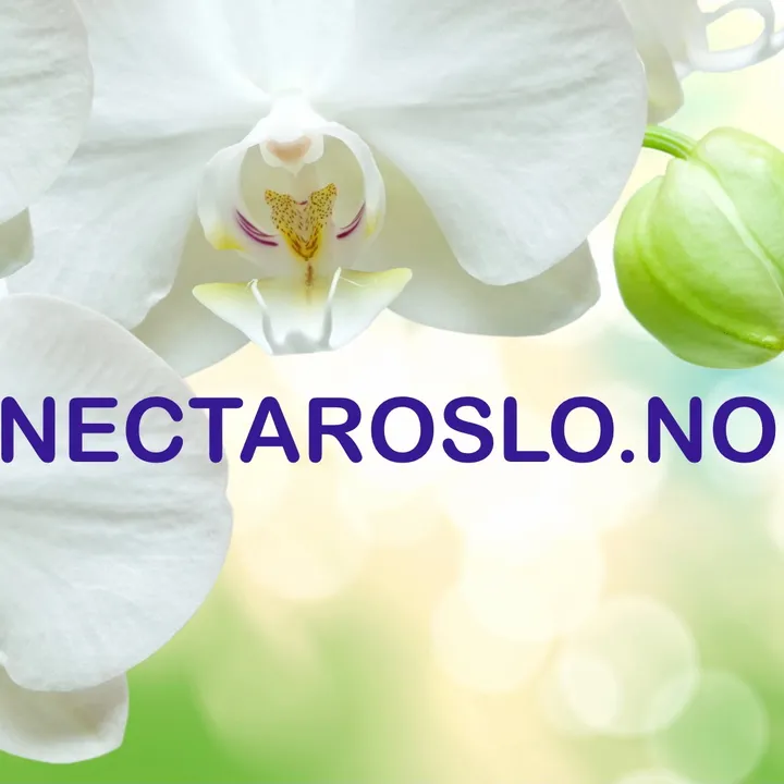 nectaroslo.no