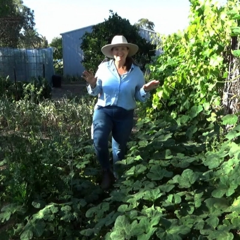 Green Thumb Kel