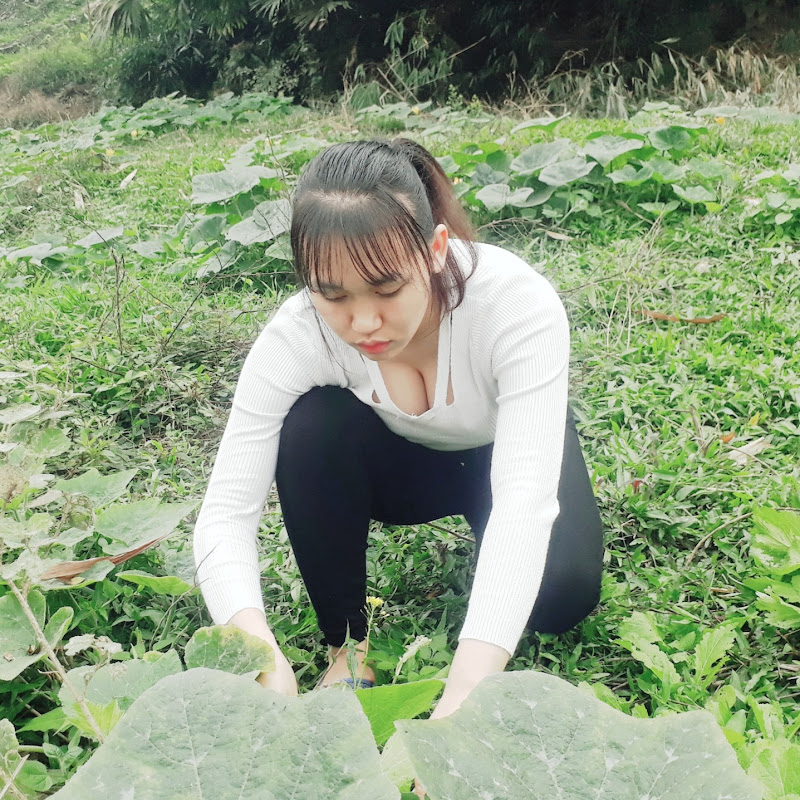 Lan's busy life - live with nature