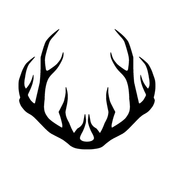 Uzwild.co