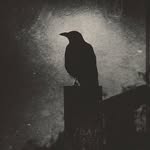 Cemetery Photography | Symbolism