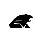 NTHU Racing 清大賽車工廠