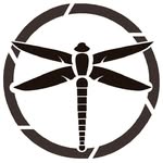 Libélula Drone