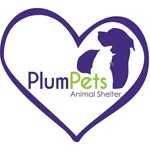 PlumPets Animal Shelter