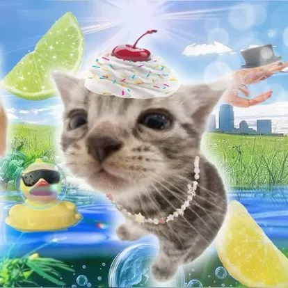 ♯ 🪭 ⸝⸝  @ƚιɳα ─