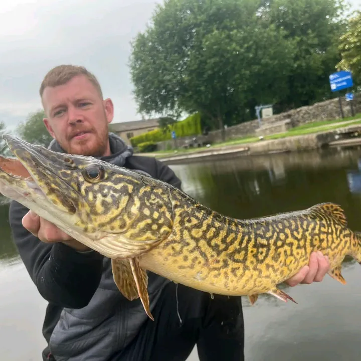 🐊🎣🤙ℙ𝕚𝕜𝕖𝕄𝕒𝕟29🐊🎣🤙.