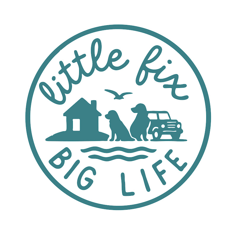 Little Fix Big Life