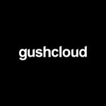 Gushcloud International