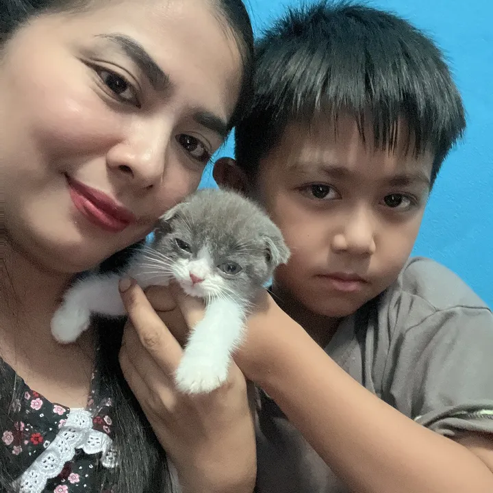 Ornny ขายทุกอย่สง
