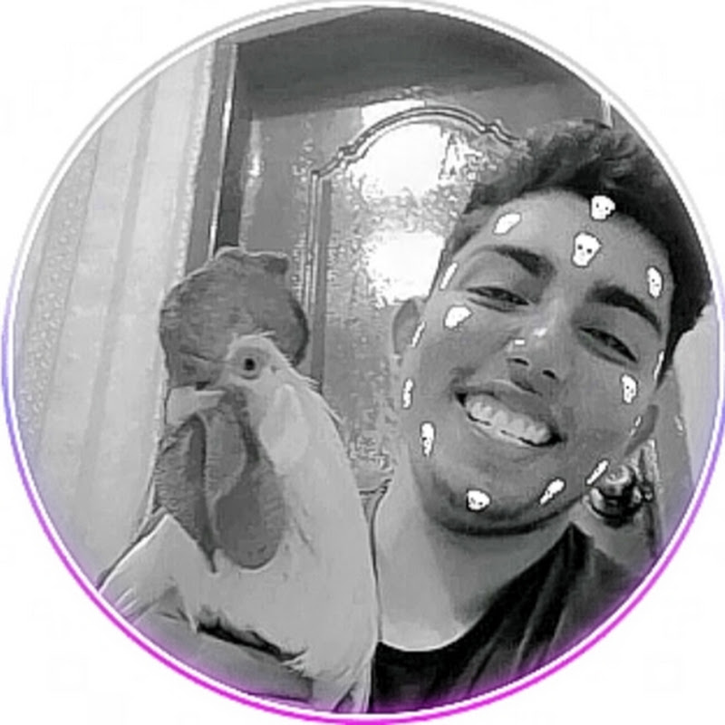 saif pet vlogger