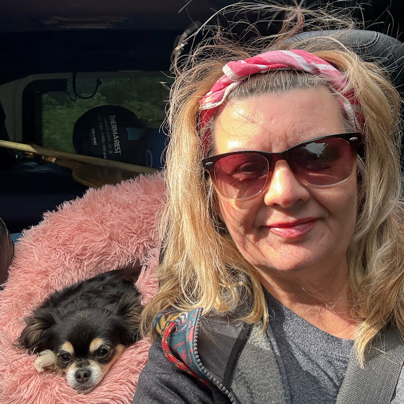 Jeep Life and 2 Dogs
