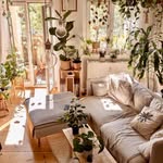 Still Nest