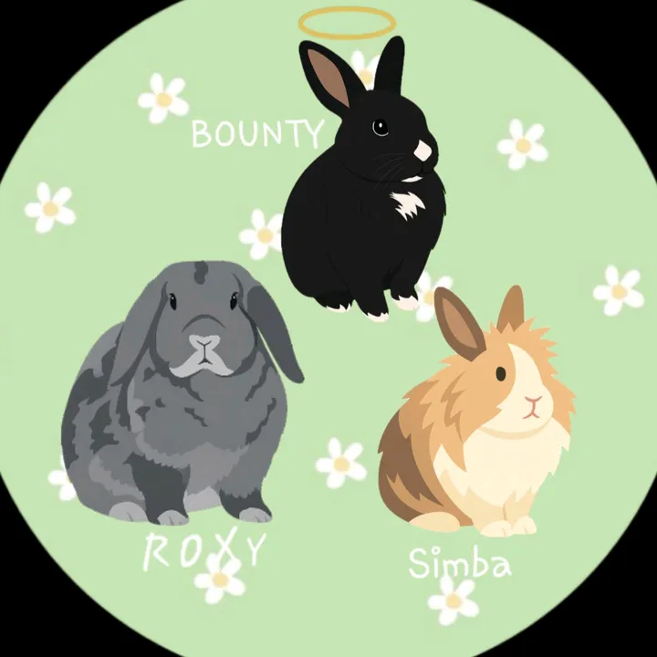 🐰Roxy🩶