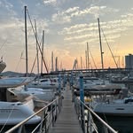 신진우