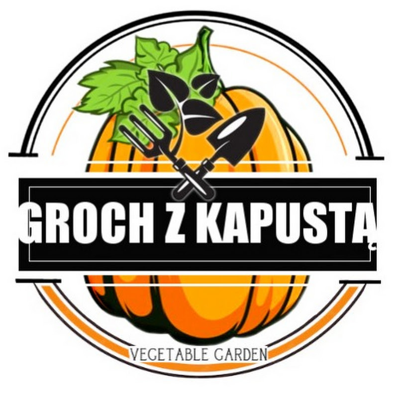 Vegetable garden Groch z kapustą